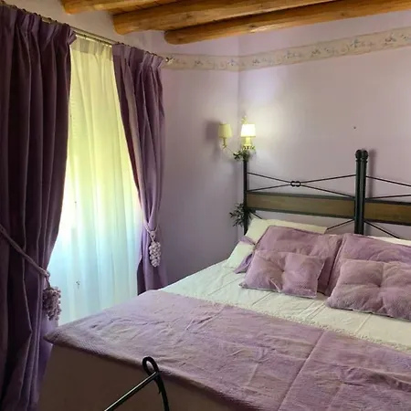Casa Aceitero Casa rural *